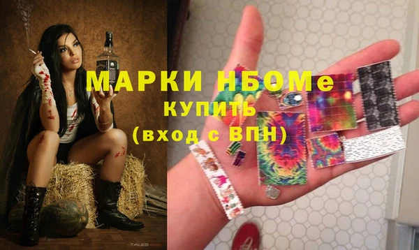 прущая мука Вяземский
