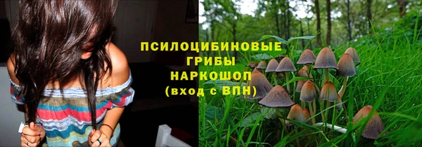 прущая мука Вяземский