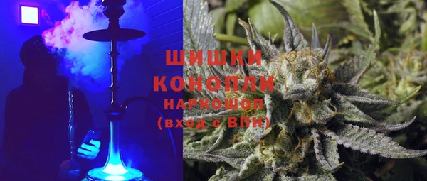 прущая мука Вяземский