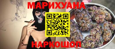 бошки Кингисепп