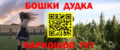 бошки Кингисепп