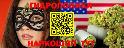 бошки Кингисепп