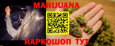 бошки Кингисепп