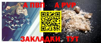 бошки Кингисепп