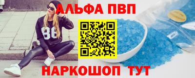бошки Кингисепп