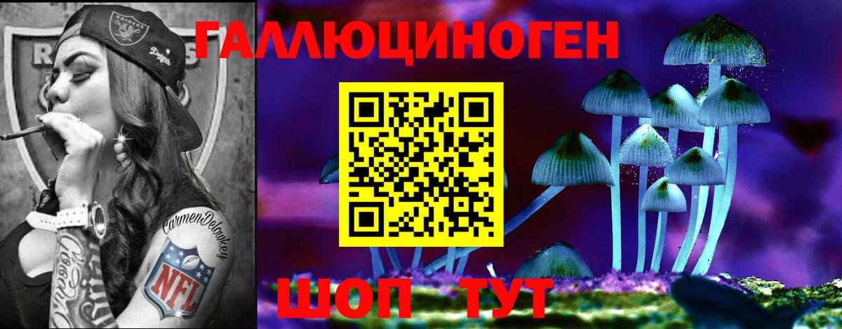 Псилоцибиновые грибы GOLDEN TEACHER  Вход с VPN  Мценск  Галлюциногенные грибы мухоморы 
