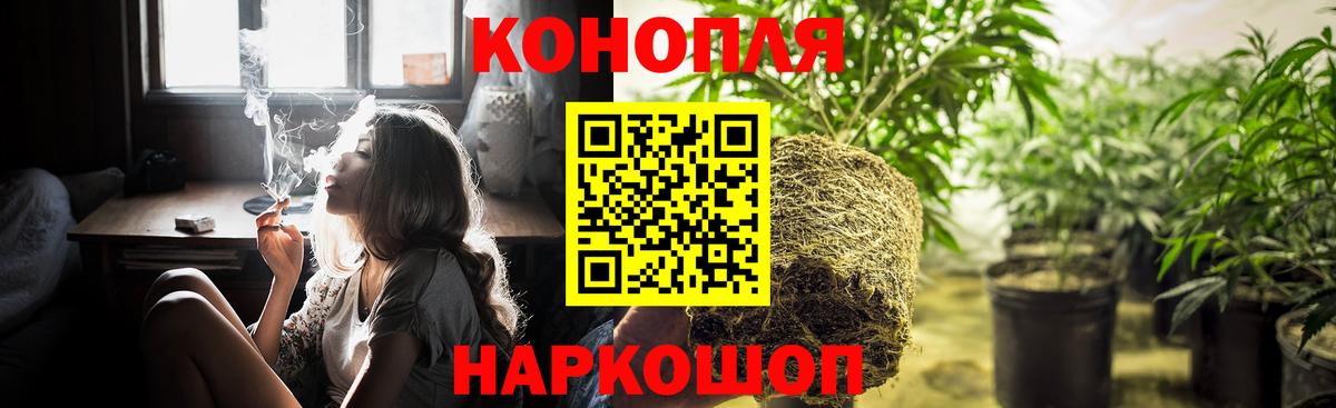 Бошки Шишки Amnesia Мценск